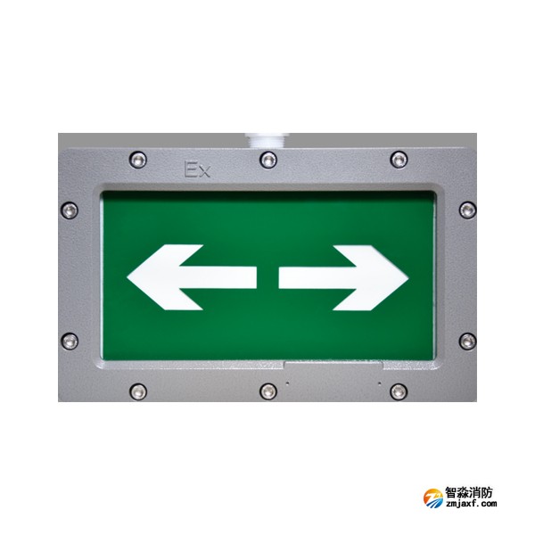 西藏海灣HW-BLJC-1LREI0.5W-VN850單面雙向應(yīng)急疏散指示燈