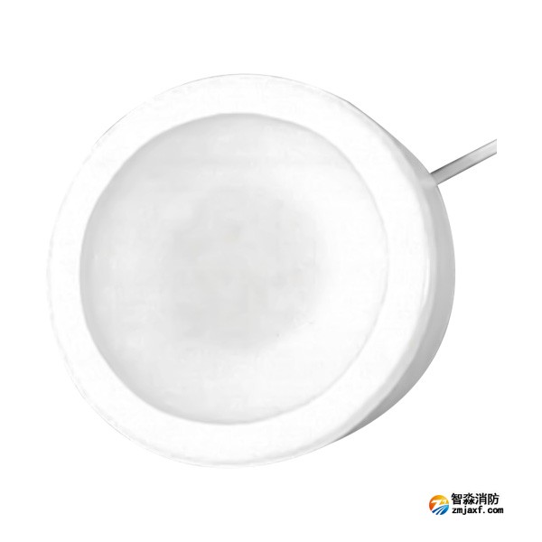 西藏海灣HW-ZFJC-E6W-YN651C集中電源集中控制型消防應(yīng)急照明燈具